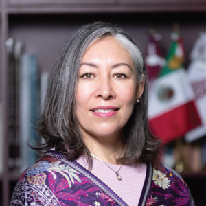Dra. Laura Arreola Mendoza 