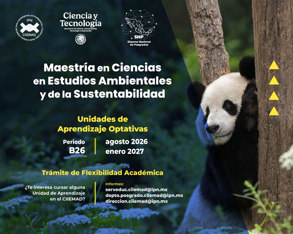 Unidades Optativas - Maestría